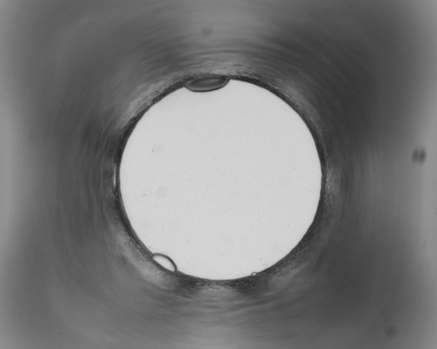 X0000111530397200908251207