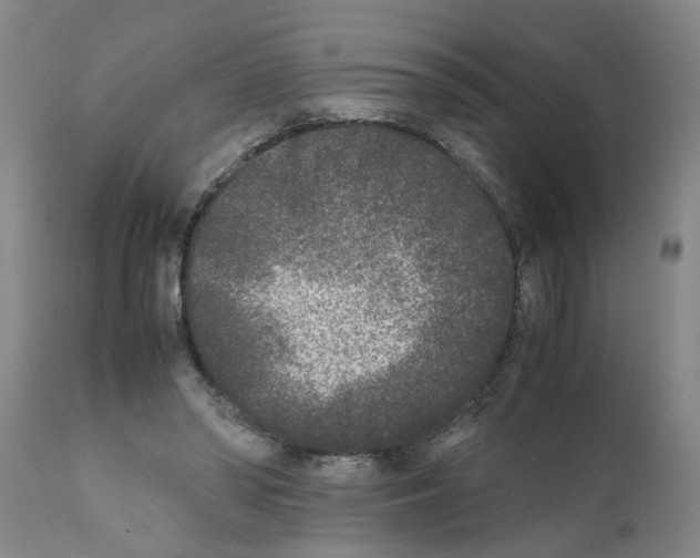 X0000111530398200908251207