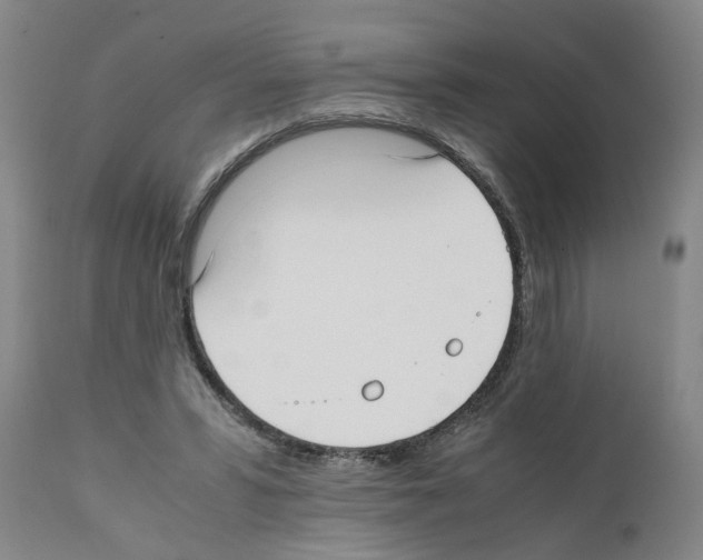 X0000111530399200908251207