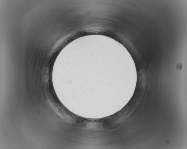 X0000111530400200908251207