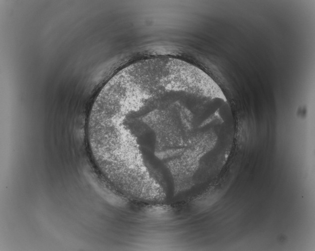 X0000111530402200908251207