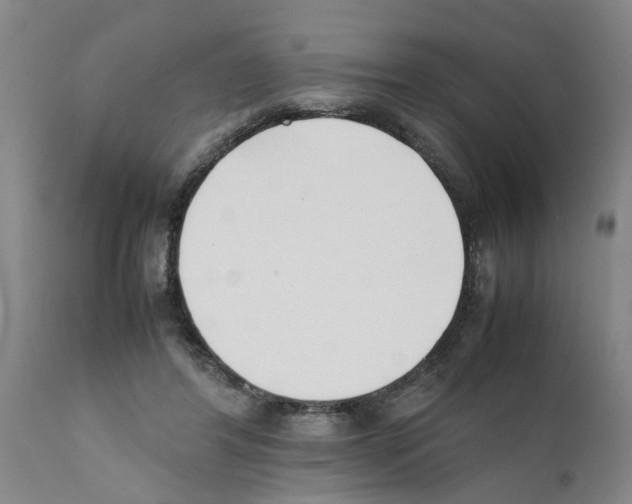 X0000111530404200908251207