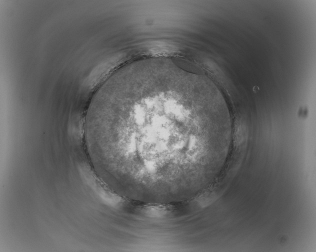 X0000111530405200908251207