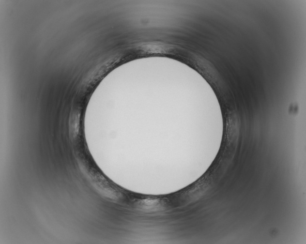 X0000111530406200908251207