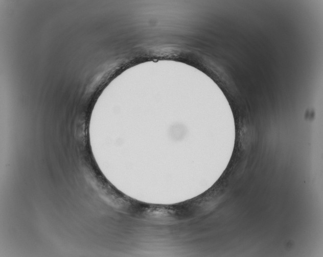 X0000111530407200908251207