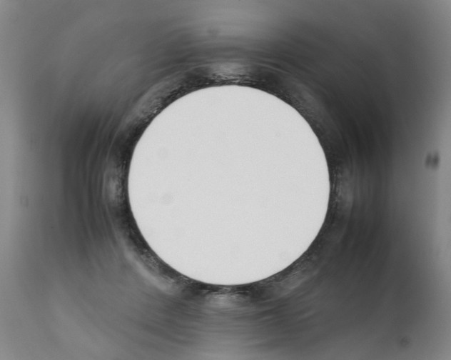 X0000111530408200908251207