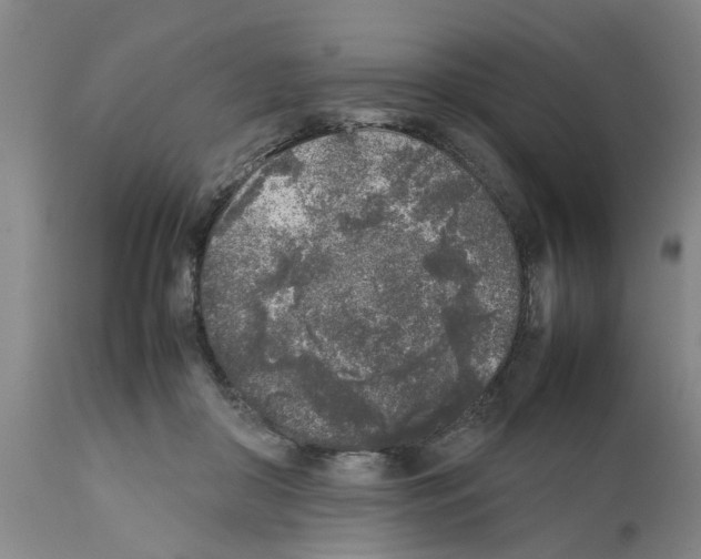 X0000111530410200908251207