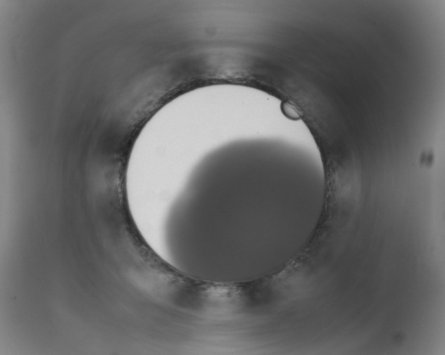 X0000111530415200908251207