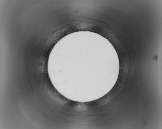 X0000111530416200908251207