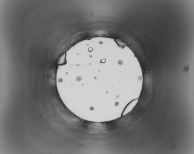 X0000111530421200908251207