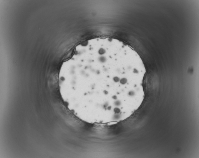 X0000111530425200908251207