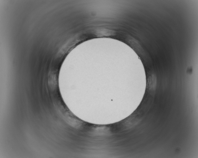 X0000111530426200908251207