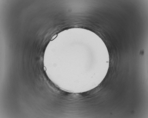 X0000111530427200908251207