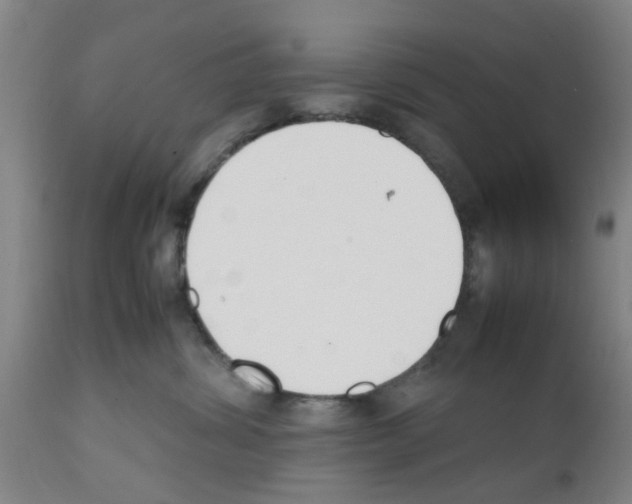 X0000111530428200908251207