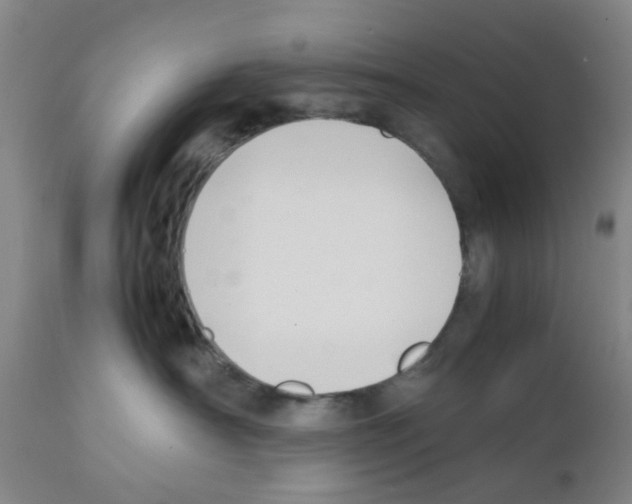 X0000111530430200908251207