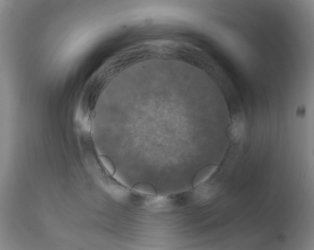 X0000111530431200908251207