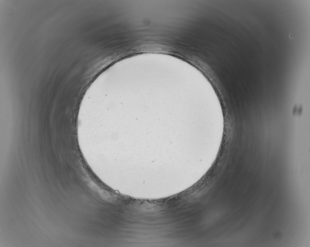 X0000111530433200908251206