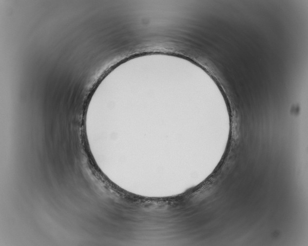 X0000111530434200908251206