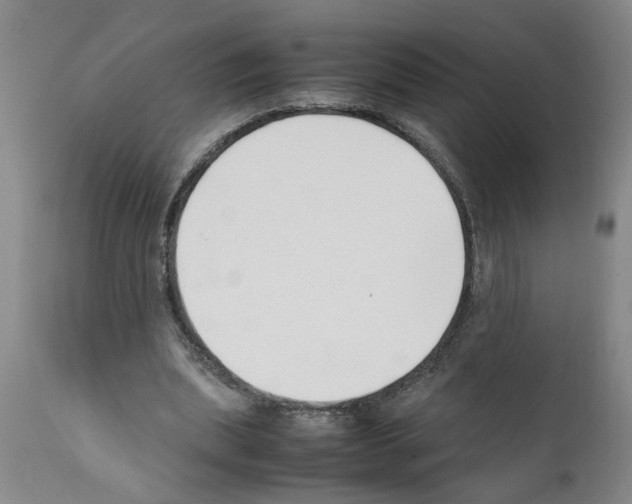 X0000111530439200908251206