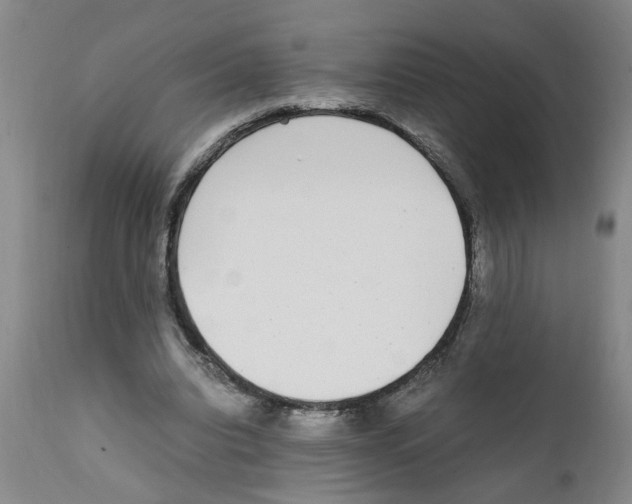 X0000111530440200908251206