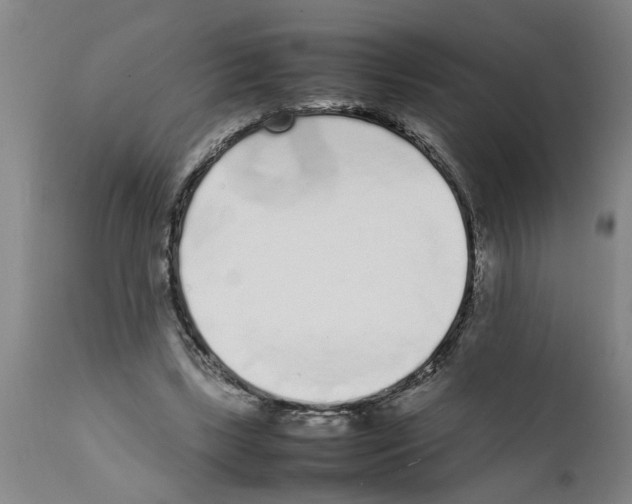 X0000111530443200908251206
