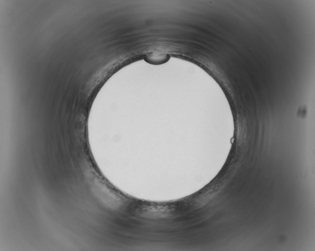 X0000111530445200908251206