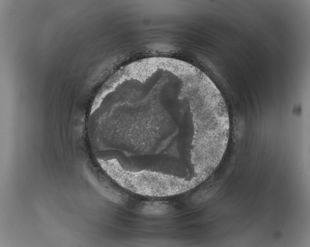 X0000111530451200908251206