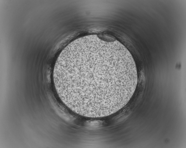 X0000111530452200908251206