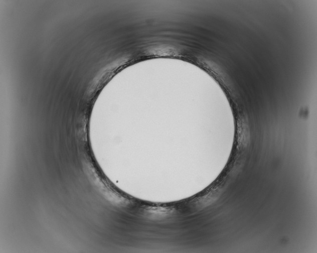 X0000111530453200908251206
