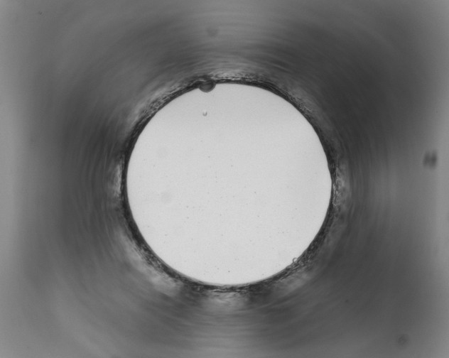 X0000111530454200908251206