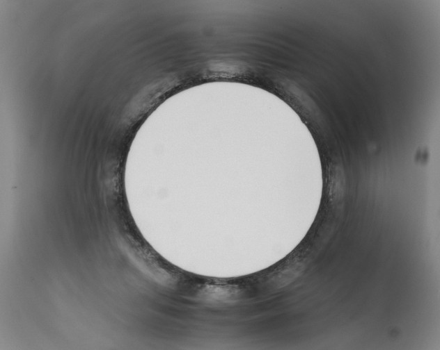 X0000111530455200908251206