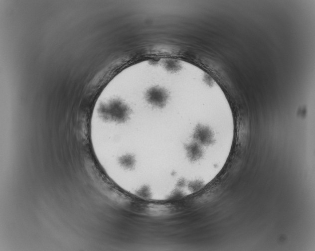 X0000111530457200908251206