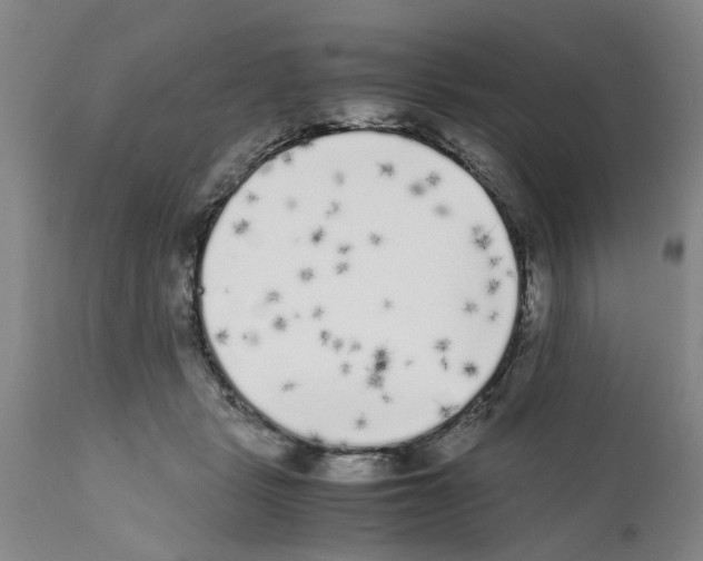 X0000111530461200908251206