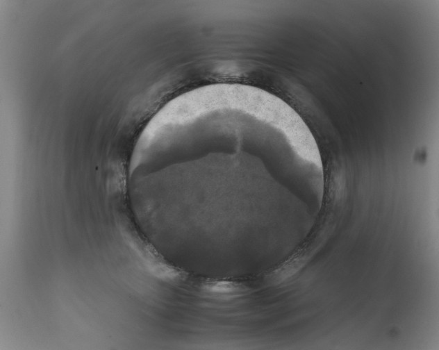 X0000111530467200908251207