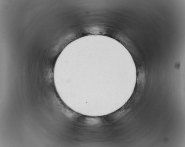 X0000111530469200908251207