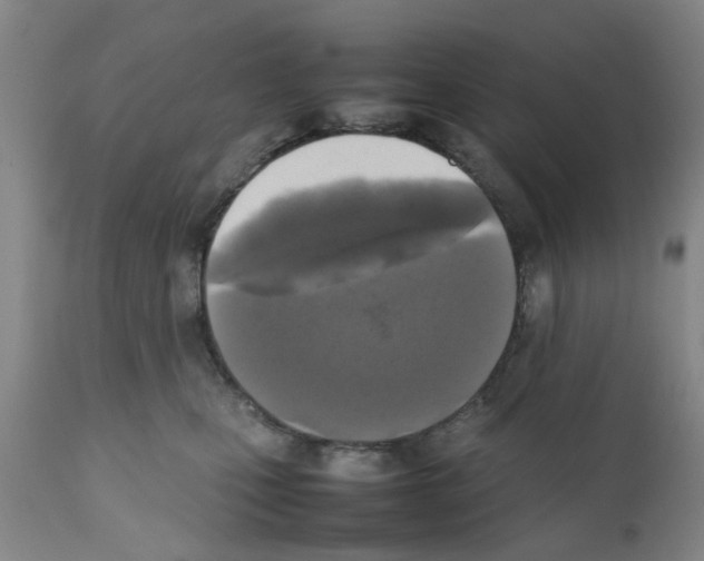 X0000111530471200908251207