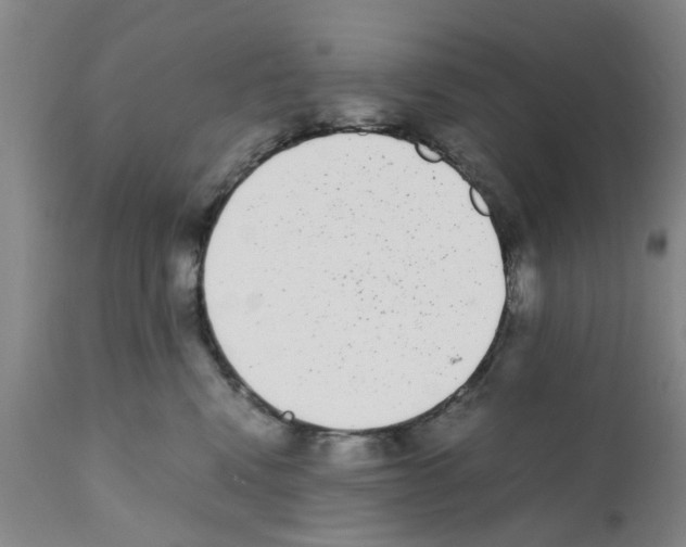 X0000111530472200908251207