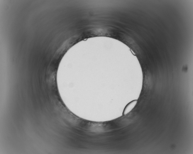 X0000111530473200908251207