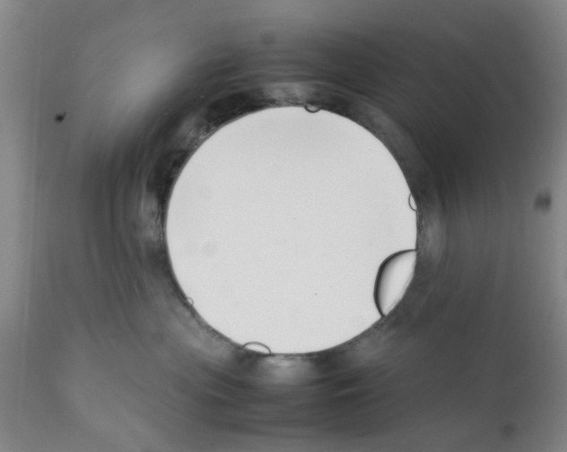 X0000111530477200908251207