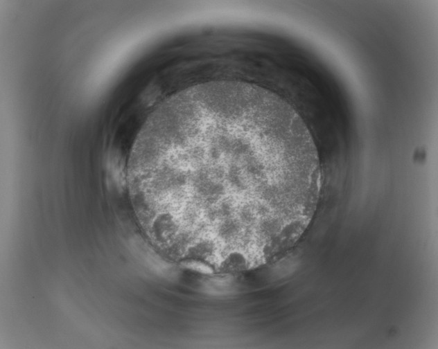 X0000111530479200908251207