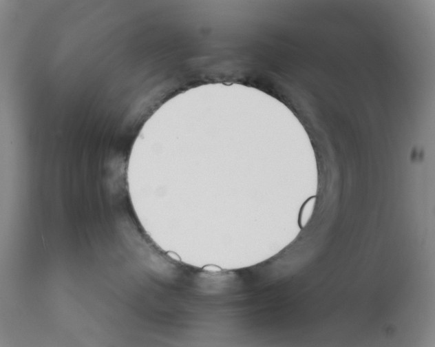 X0000111530480200908251207