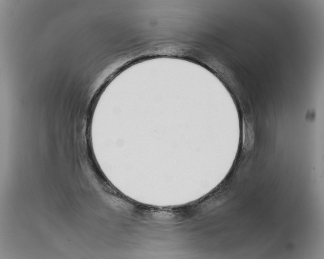 X0000111530483200908251206