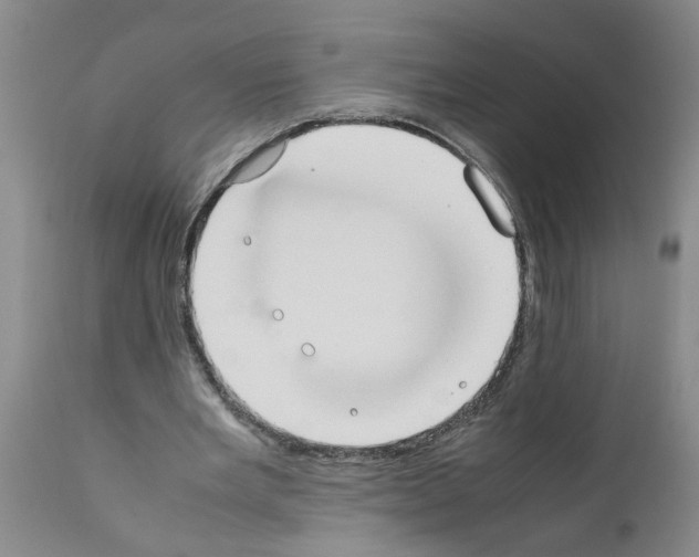 X0000111530485200908251206