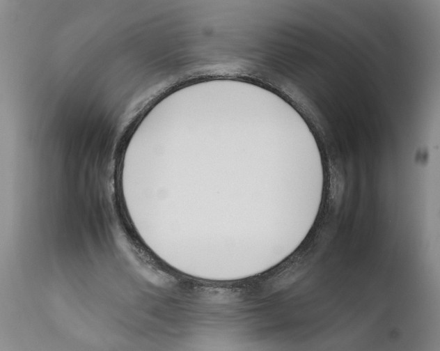 X0000111530486200908251206