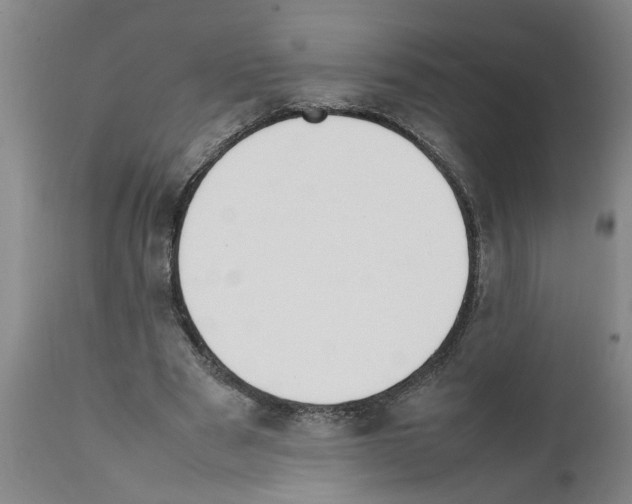 X0000111530489200908251206