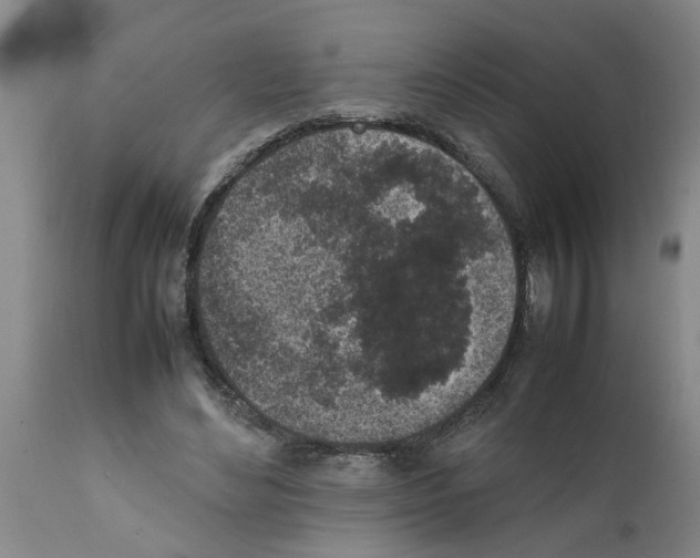 X0000111530492200908251206