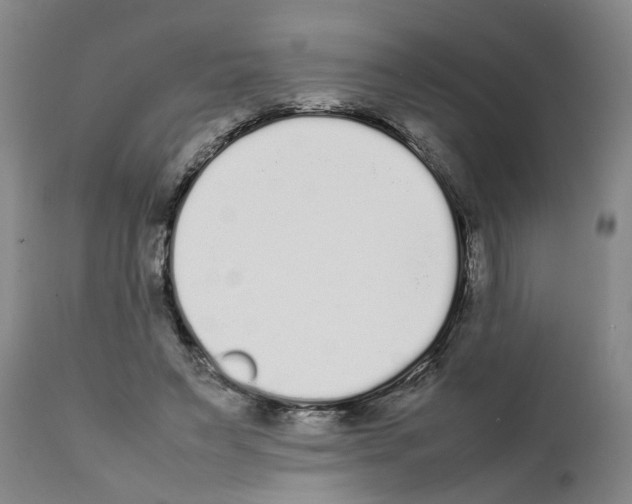 X0000111530495200908251206