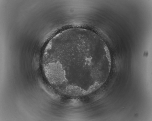 X0000111530496200908251205