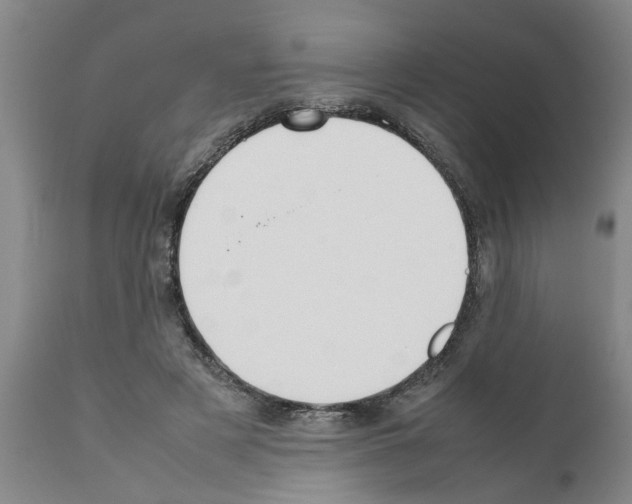 X0000111530497200908251205