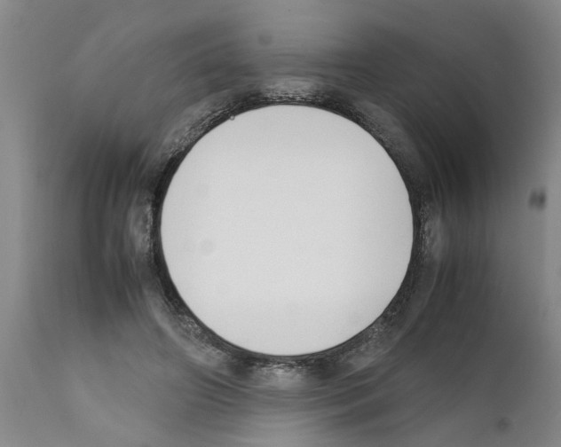 X0000111530498200908251205